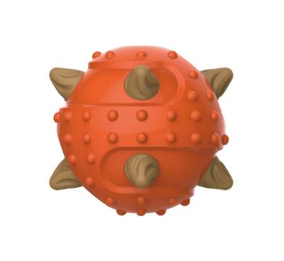 pet treat 2in1 dental pelota