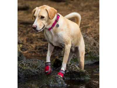 ruffwear dog boots
