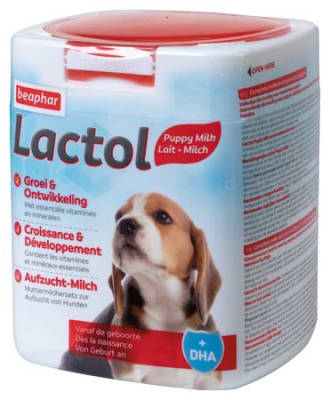 lactol puppy