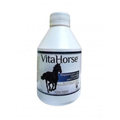 Vita horse