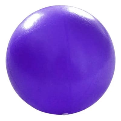 Pelota caballos 35cm