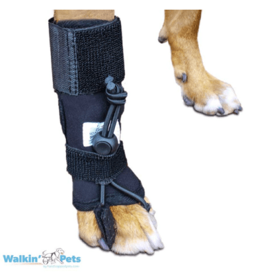 walkinpets corrector propioceptivo ant