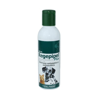 regepipel