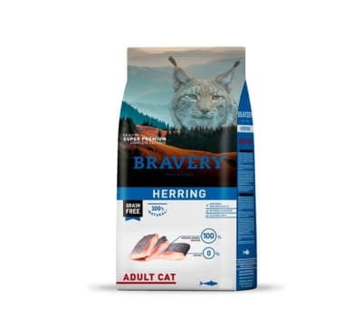 bravery herring adulto gato