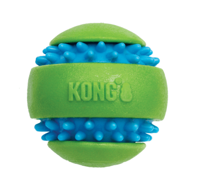 kong squeezz goomz pelota