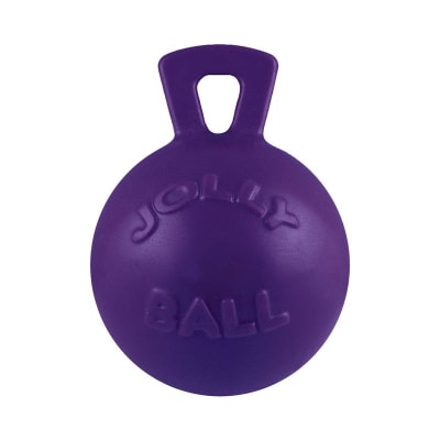 JP pelota con asa morada