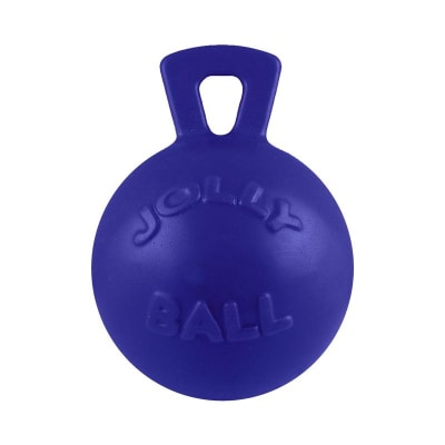 JP pelota con asa azul