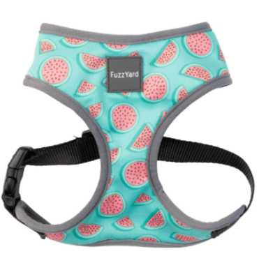 fuzzy arnes summer puch