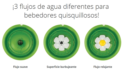 cat it fuente de agua flor