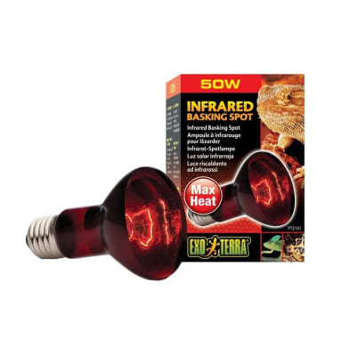 exoterra ampolleta infraroja