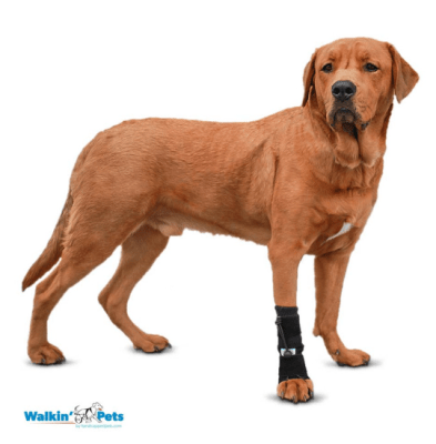 walkinpets corrector propioceptivo ant