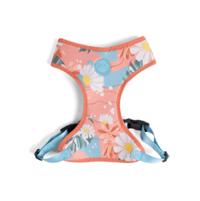 cachorre arnes flow floral