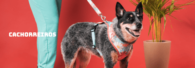 cachorre arnes flow floral