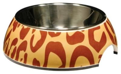 cat it plato atrigrado