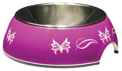 cat it plato mariposa