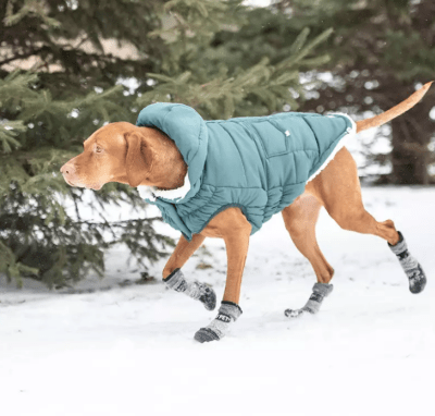 gfpet botin terreno gris/negro