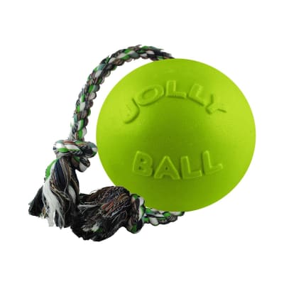 JP pelota con cuerda verde