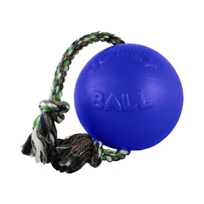 JP pelota con cuerda azul