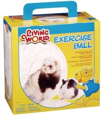 lw bola ejercicio