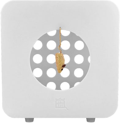 kitty kasas recreacion