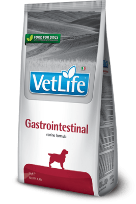 vet life gastrointestinal perro