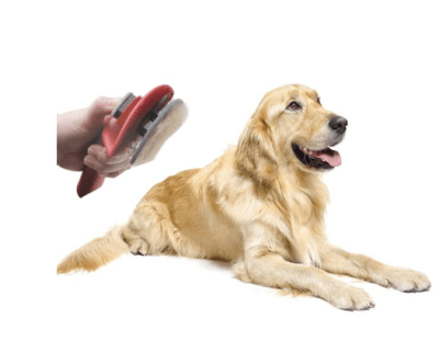 le salon cepillo alisador autolimpiante