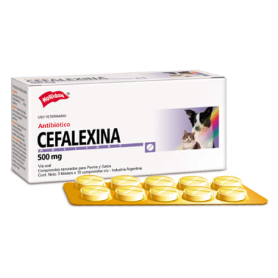 cefalexina 500mg