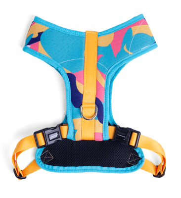 cachorre arnes flow doge