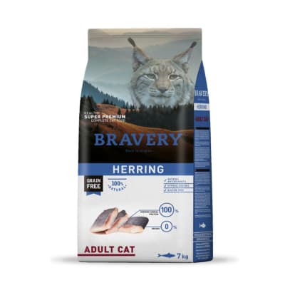 bravery herring adulto gato