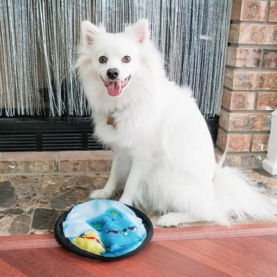 disney ts4 ducky & bunny flippy flopper