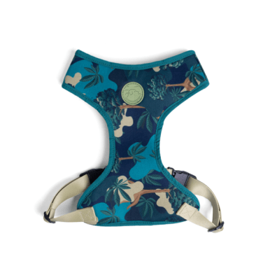 cachorre arnes flow samauma