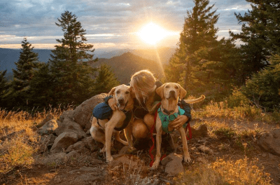 ruffwear dog pack blue moon