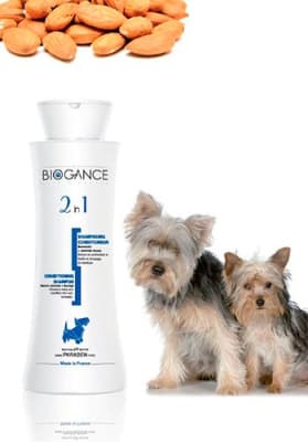 biogance shampoo 2 in 1