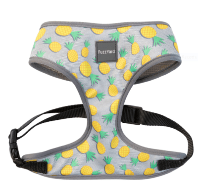 fuzzy arnes piña colada