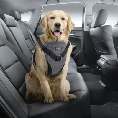 afp travel dog arnes seguridad