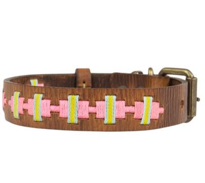 mauloa collar toby
