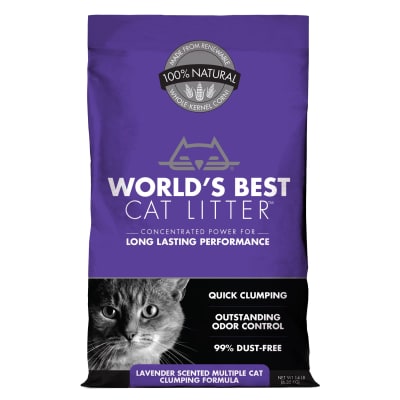 arena world's best cat litter lavanda