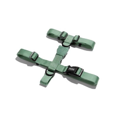 zeedog army green arnes H