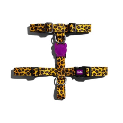 zeedog honey arnes H