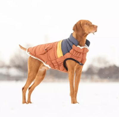 gfpet chaqueta retro puffer hazel
