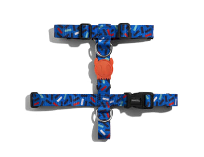 zeedog atlanta arnes H