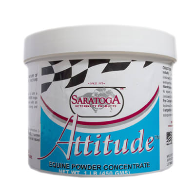 saratoga attitude
