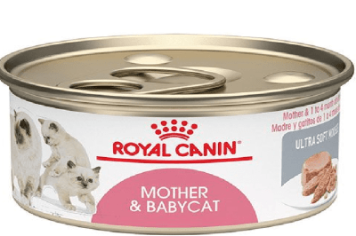 royal canin mother & baby cat lata