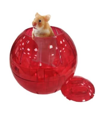 mp pelota para hamster