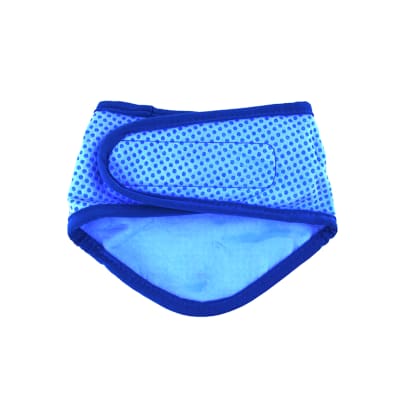 gfpet bandana ice