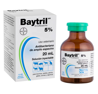 baytril 5% iny