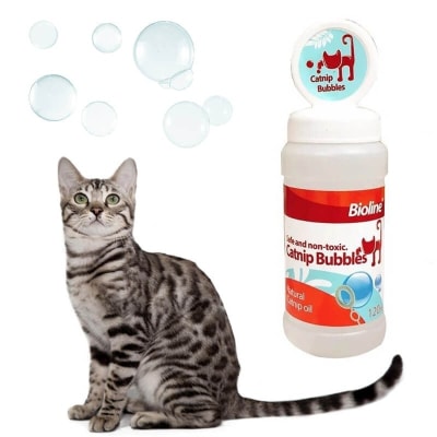 bioline burbujas catnip