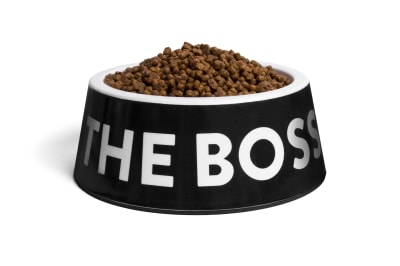 zeedog bowl the boss black
