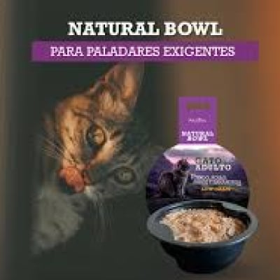 ancestral bowl gato