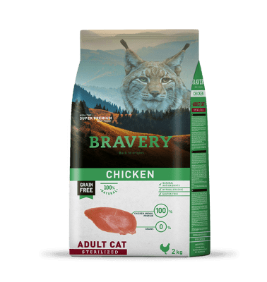 bravery pollo adulto gato castrado